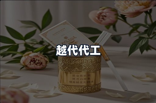 越代代工